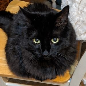 Meet your Posher, Laura